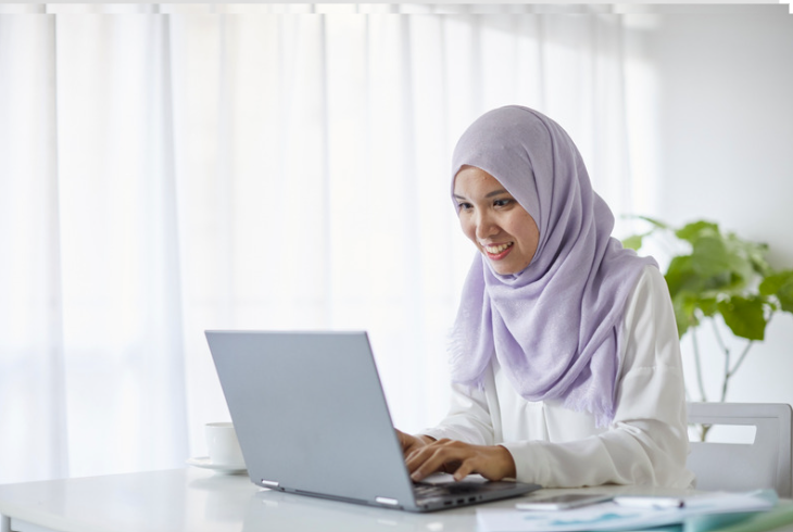 Professional audit and assurance environment